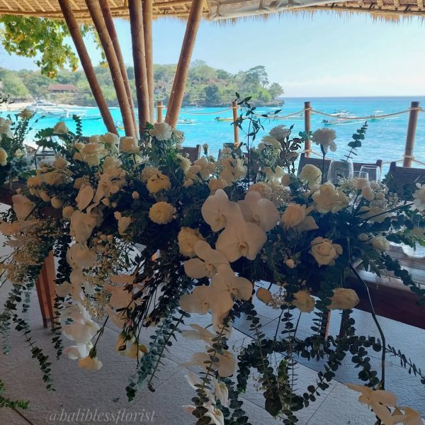 SaveVid.Net_363319707_312661227861295_2397960429513302396_n