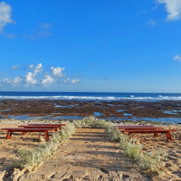 SaveVid.Net_364122240_1359310391136685_5392458239574595310_n