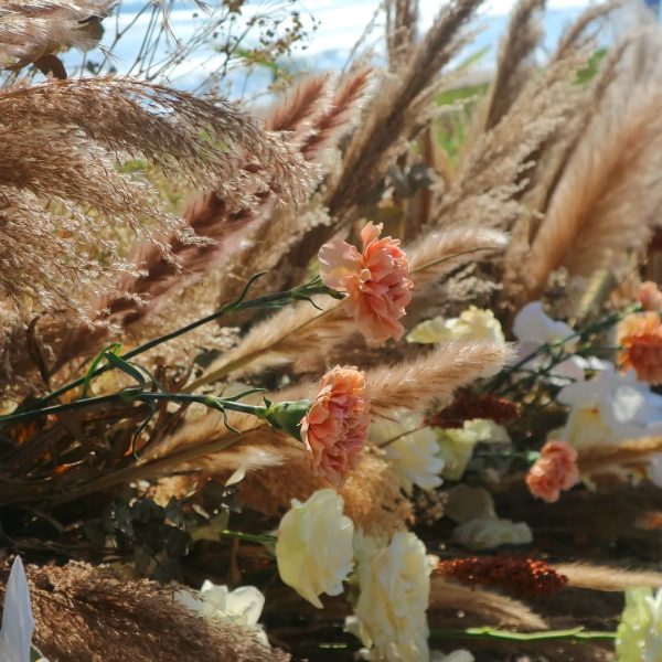 SaveVid.Net_375285043_1334720717472965_3798203937895031935_n