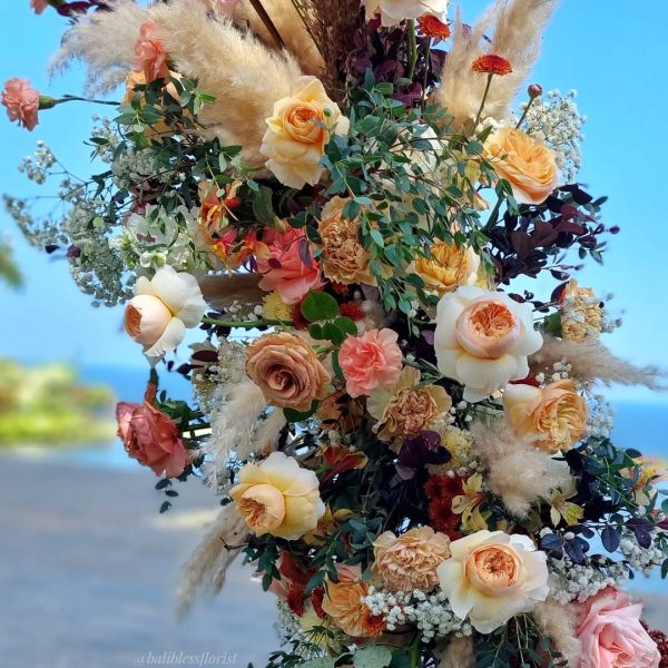 SaveVid.Net_385191403_546727674306443_3507428190458171436_n