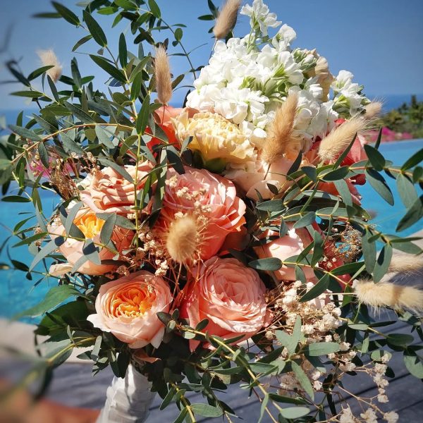 SaveVid.Net_385356091_1244255139581652_3306029786314447004_n