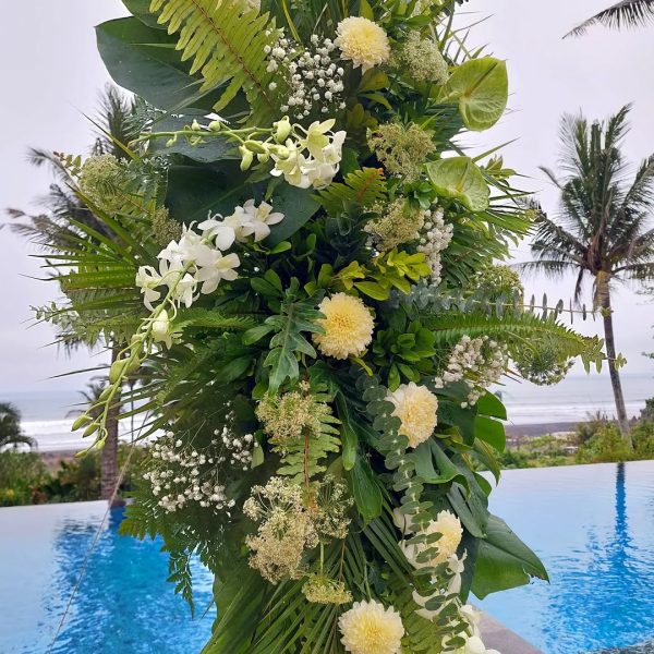 SaveVid.Net_398020109_1391969241733269_4443327689104269621_n