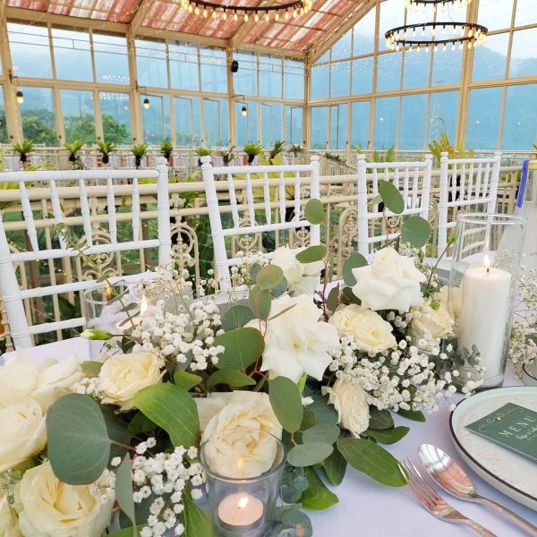 SaveVid.Net_433087179_401399666160677_1824673788576231721_n