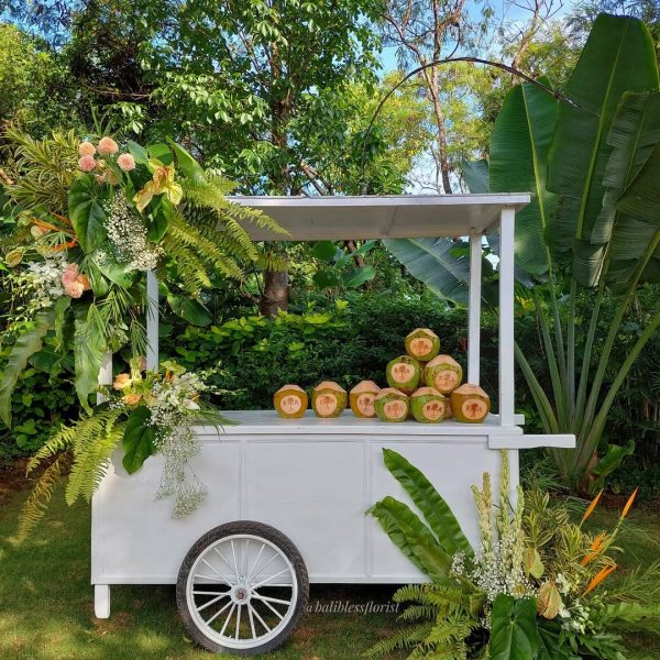 SaveVid.Net_440387959_834551075183981_6118465440718676490_n